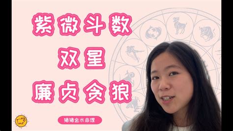 廉贞贪狼|双星组合之廉贞贪狼 – 紫微麥 